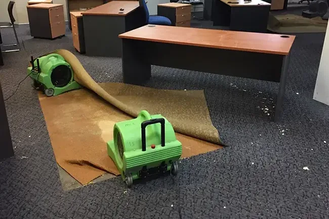 Wet office carpet folded back while an air mover dries the floor