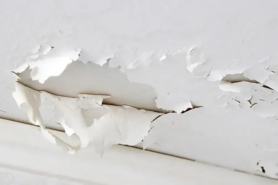 Bubbled, peeling ceiling paint where rainwater soaked through the drywall