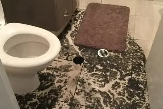 Sewage spread across a bathroom floor around a toilet and floor drain