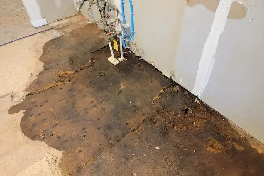 Concrete slab and stained subfloor left exposed after a leak under the floor